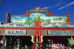 Hemp Embassy Mural